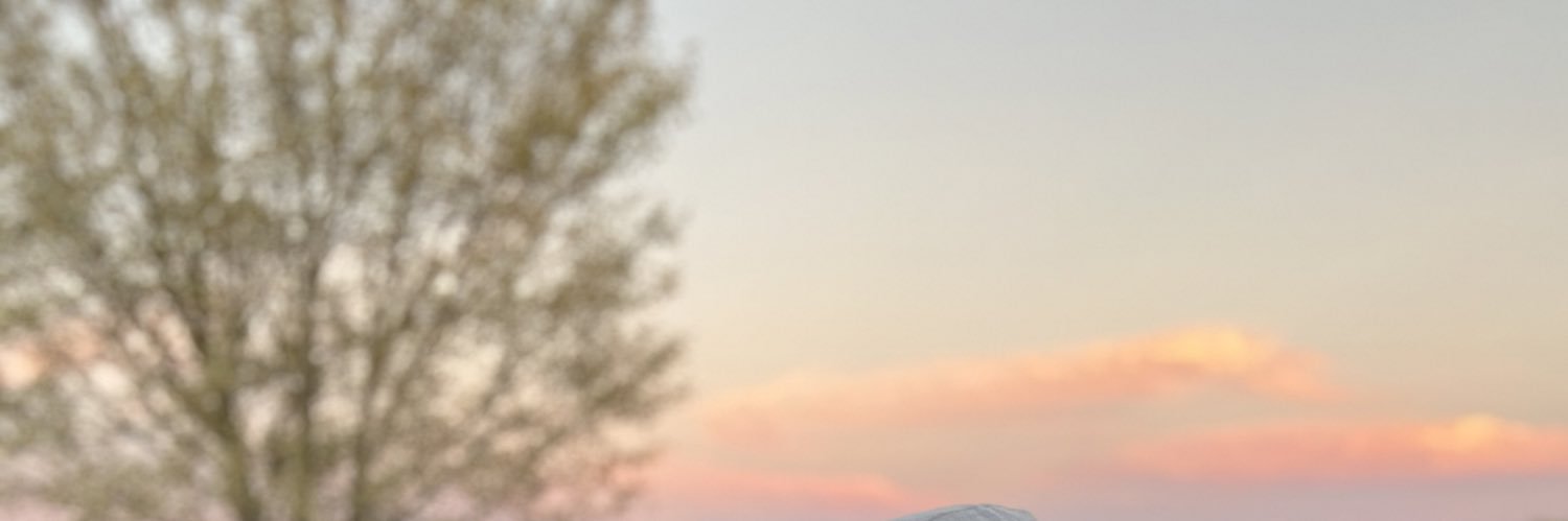 thecharli's profile banner image