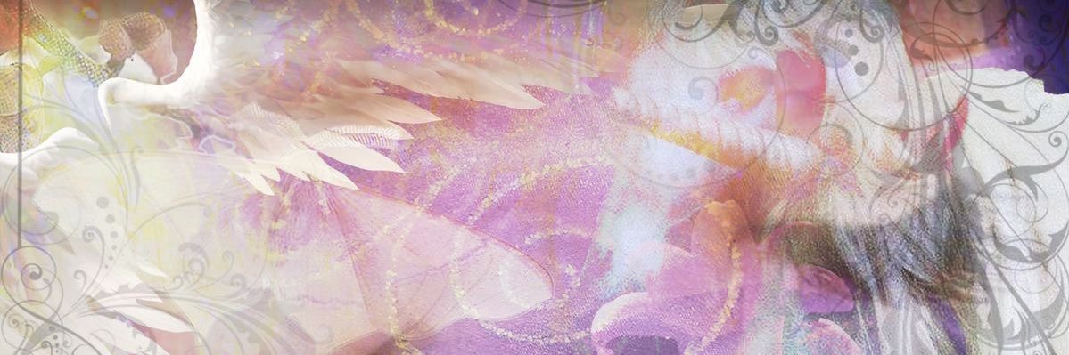 venus banner