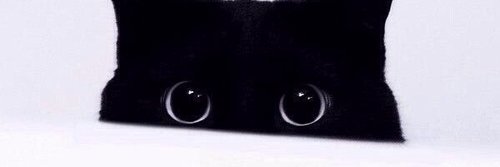 Caseytje's profile banner image