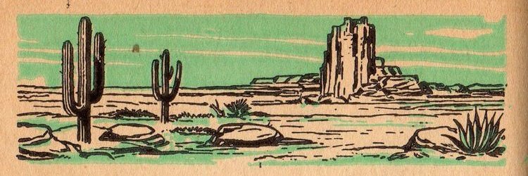 *ੈ✴︎⋆. 🦆 banner