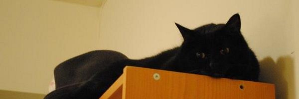 MPasset Profile Banner