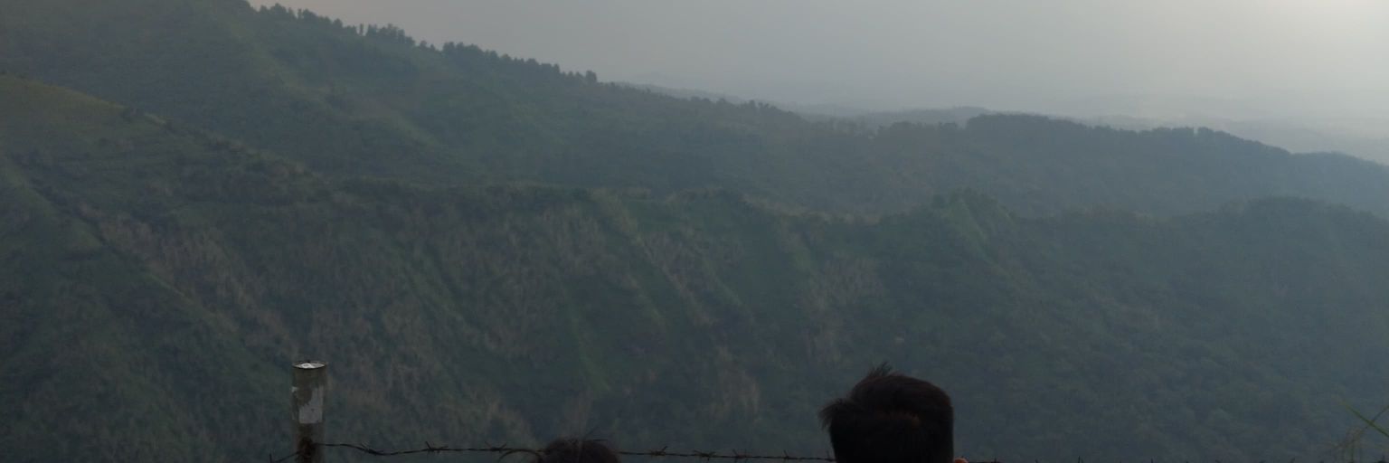 lanwu banner