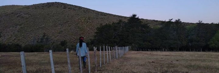mailincampos's profile banner image