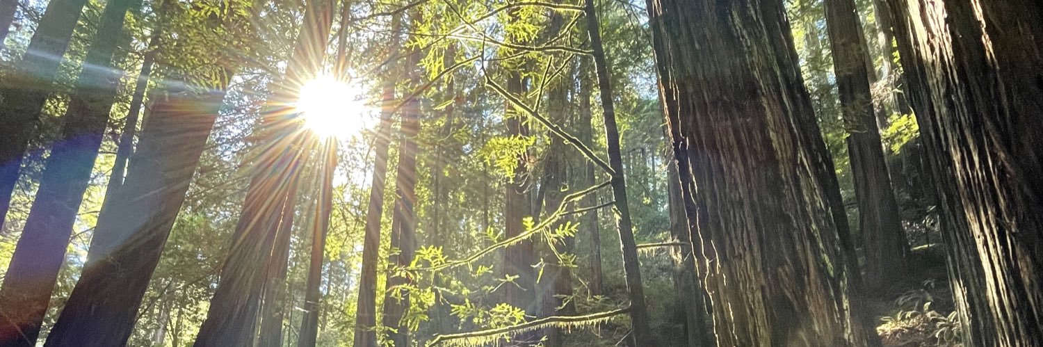 FreyMonet's profile banner image