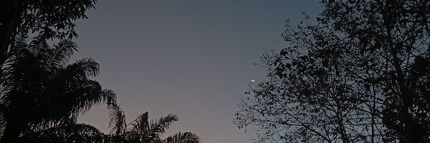 cup_ofdea's profile banner image