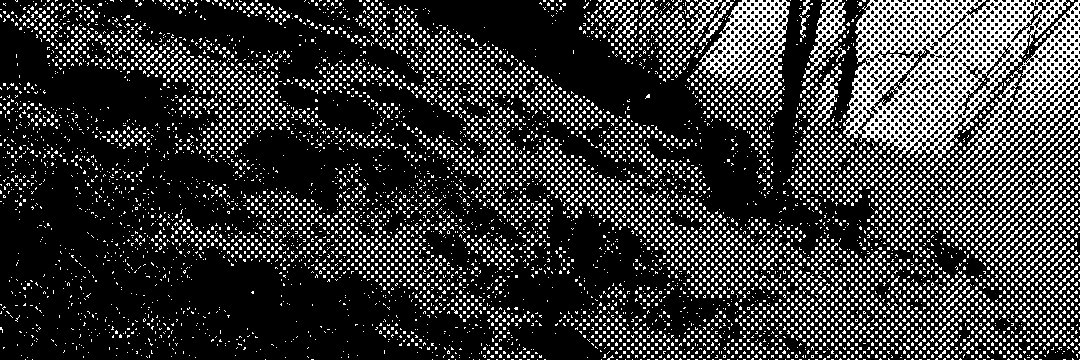 Onerbredavatar's profile banner image