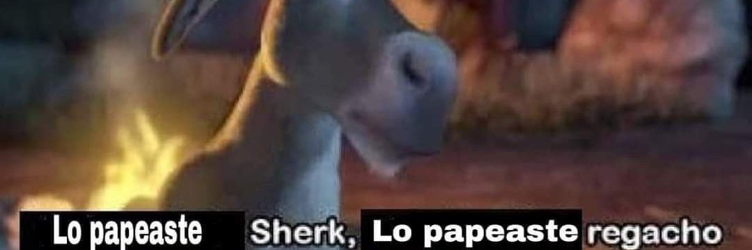 Amigones Highlights banner