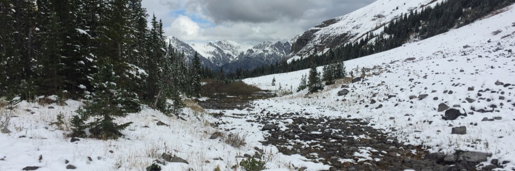 Mark T banner