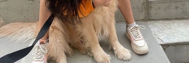 amber Dany🐾🐶 banner
