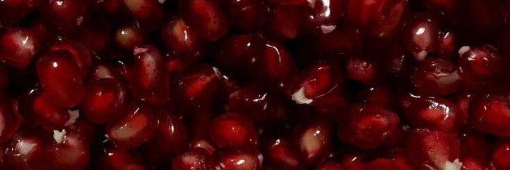 eveyaish's profile banner image