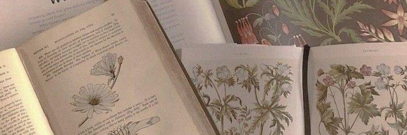 hobbitlectora's profile banner image
