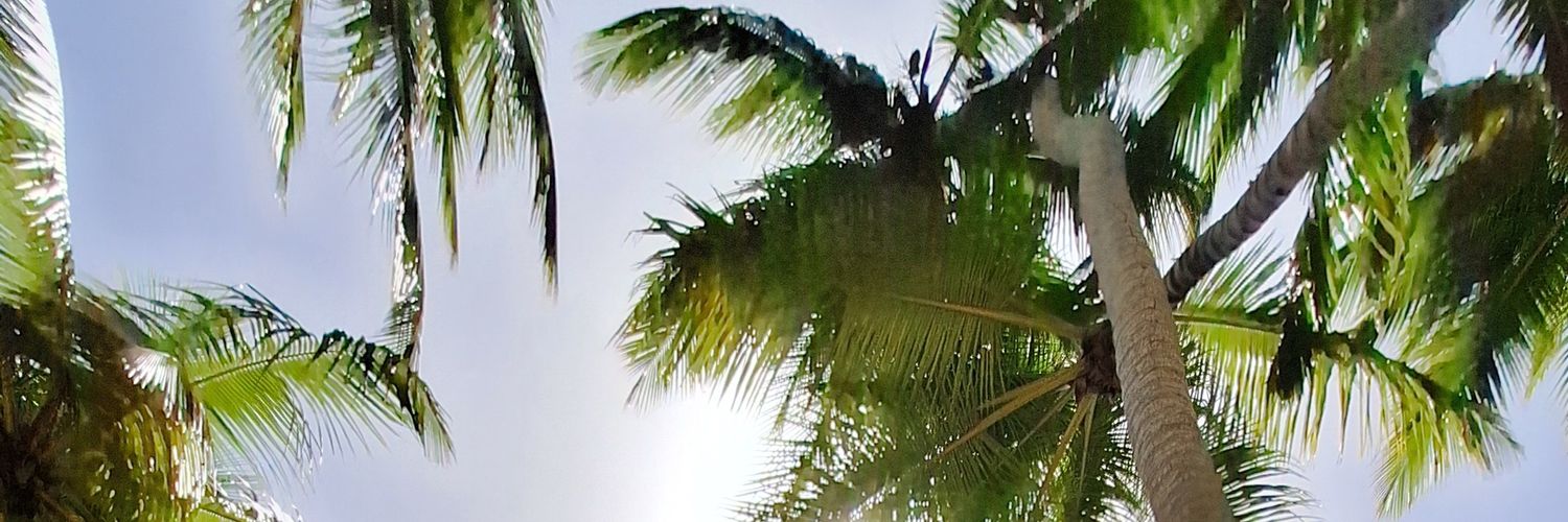 _zbsro's profile banner image