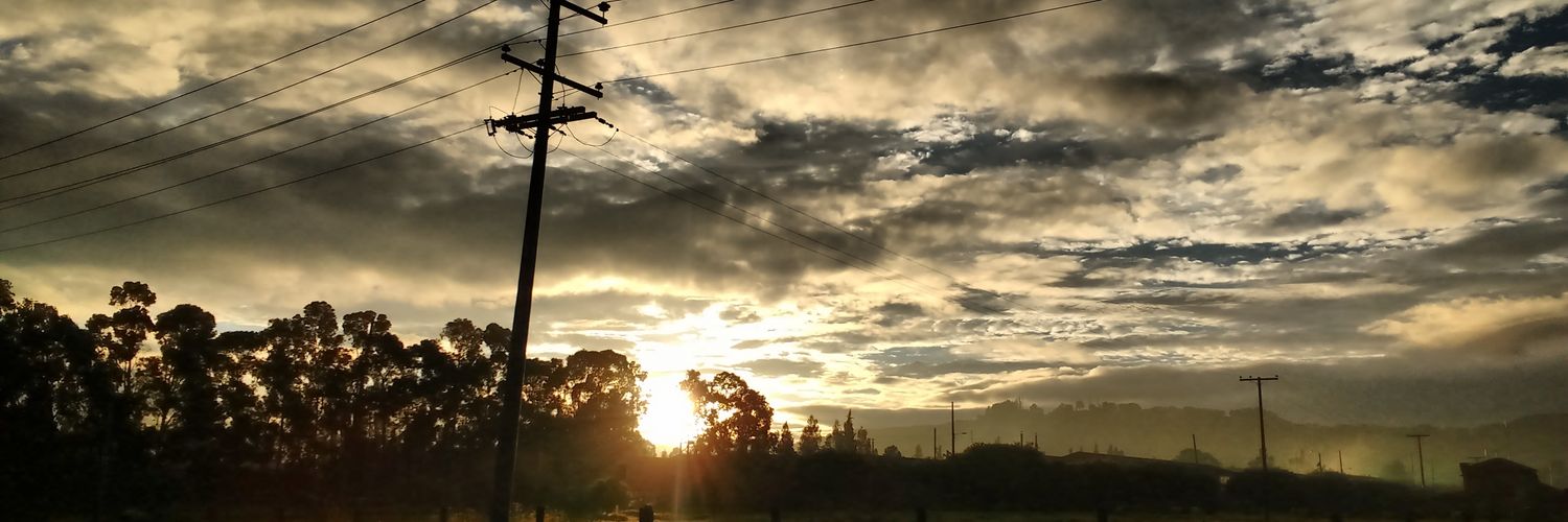 PAOLY24's profile banner image