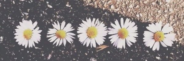 bricreech5's profile banner image