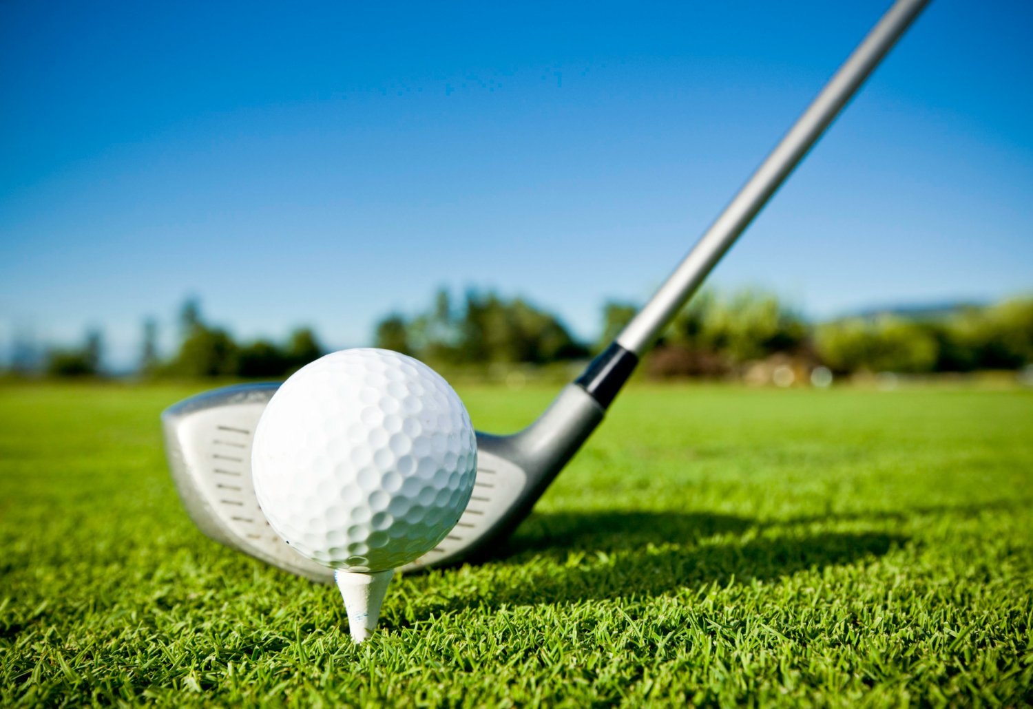 CarlosGolf_'s profile banner image