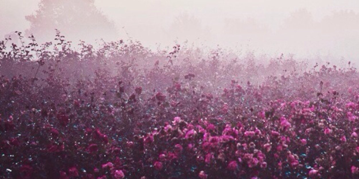 _Mjsty's profile banner image