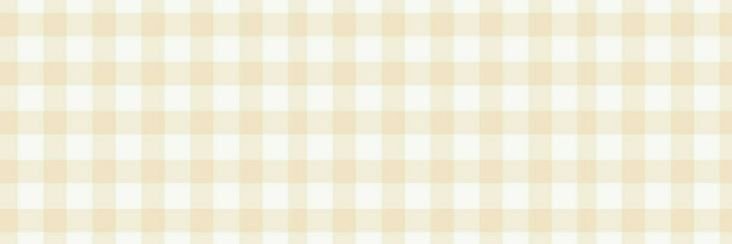 airylena's profile banner image
