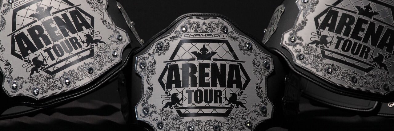 ArenaTourMMA's profile banner image