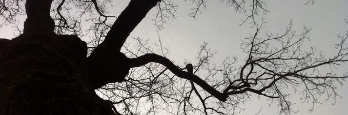 Marie & Philippe 🇺🇦🇪🇺 banner