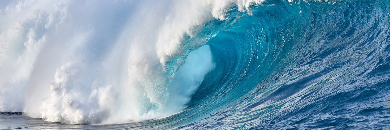 The Bitcoin Wave banner