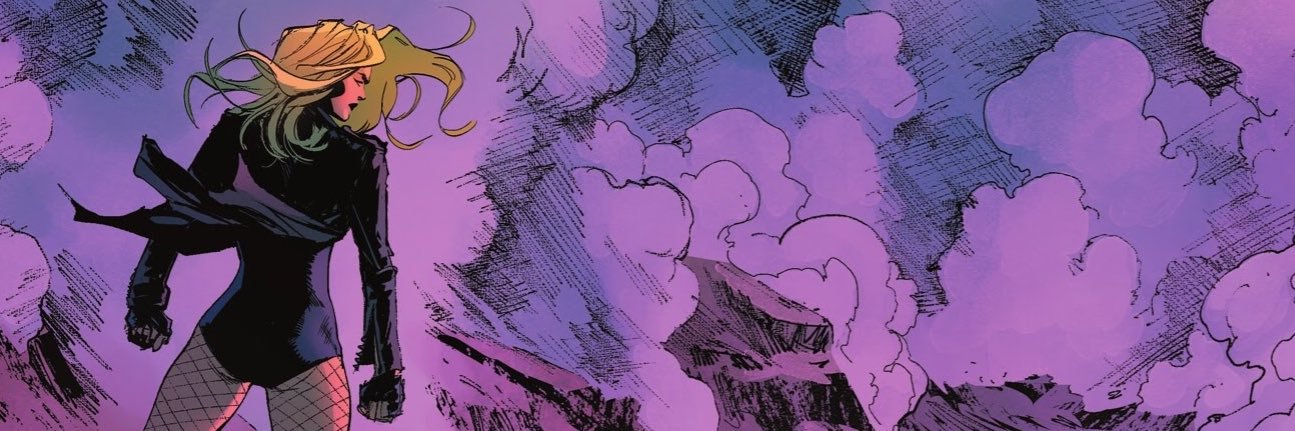 CriesOfABird's profile banner image