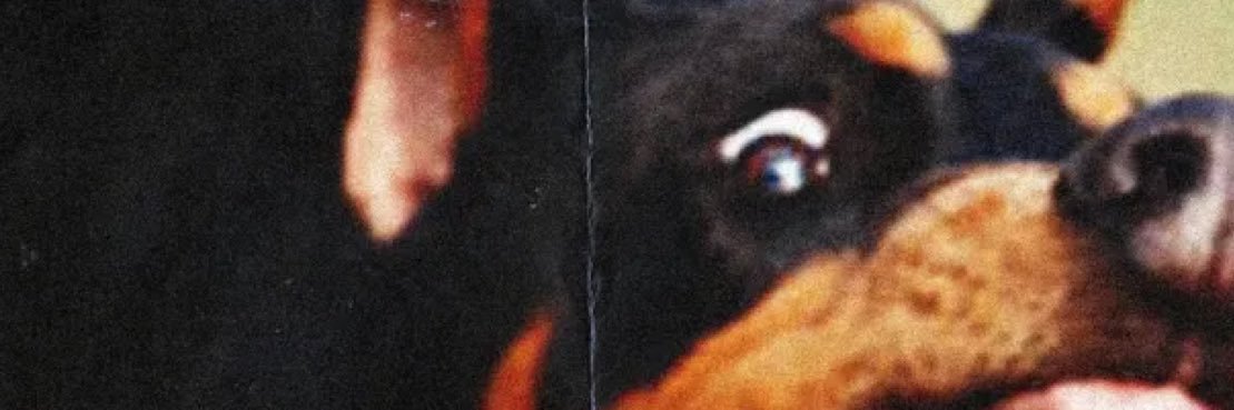 Wilson banner