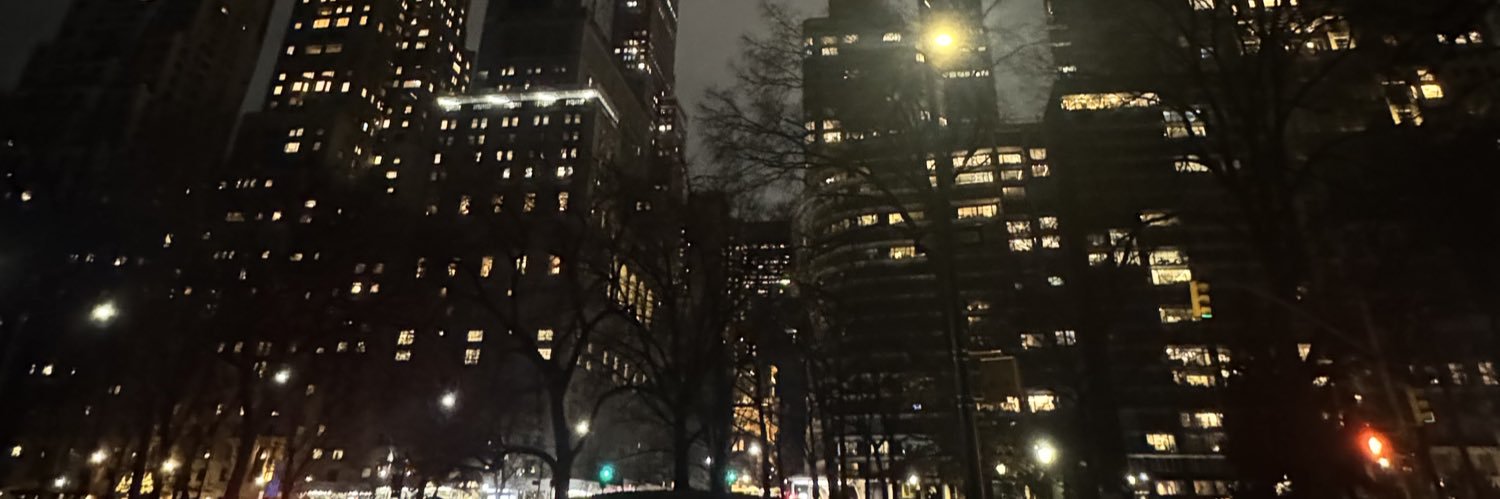 rii ᥫ᭡.🦴 banner