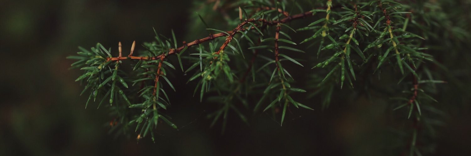 Matilda_E91's profile banner image