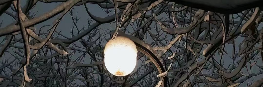 潮湿的梅雨季 banner