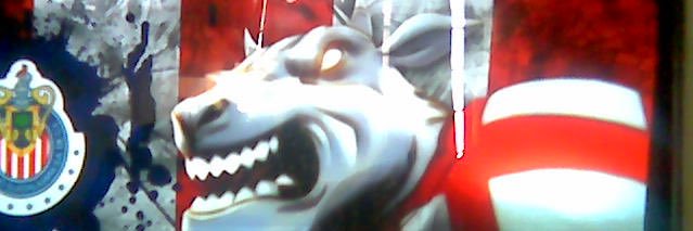 hcornejo7's profile banner image