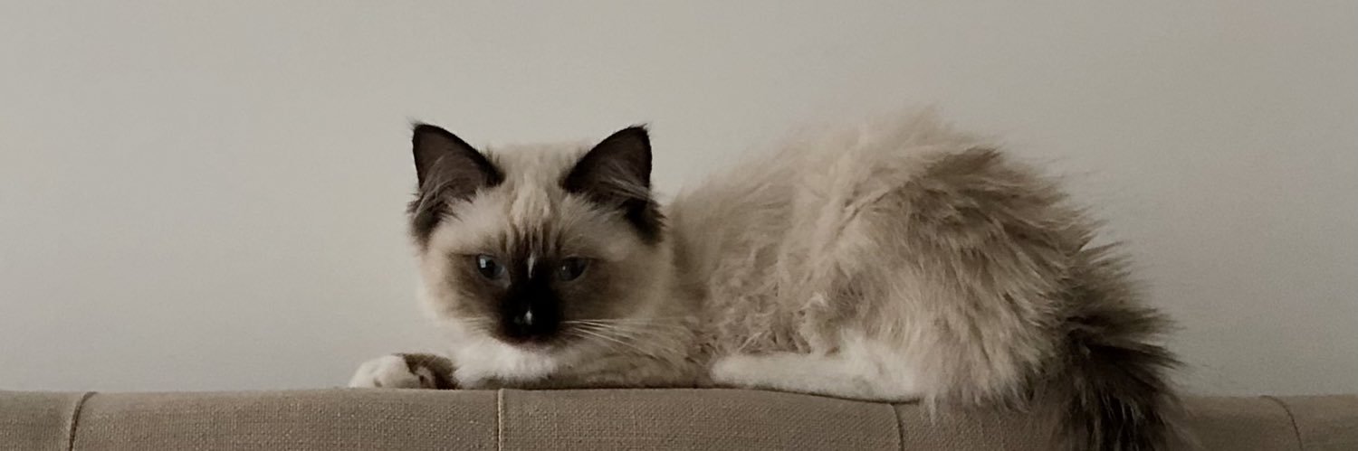 AliElizabethr's profile banner image