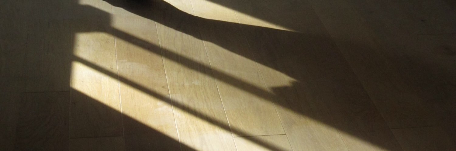 Nice_Sunny_Day_'s profile banner image