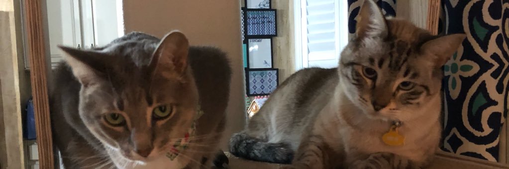 wtrmrhodes's profile banner image