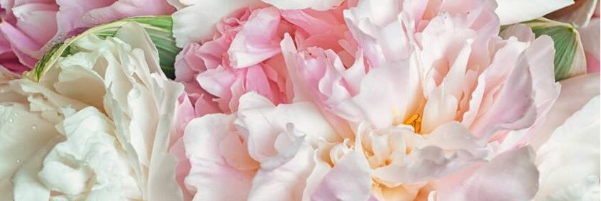 Melinda Matthews banner