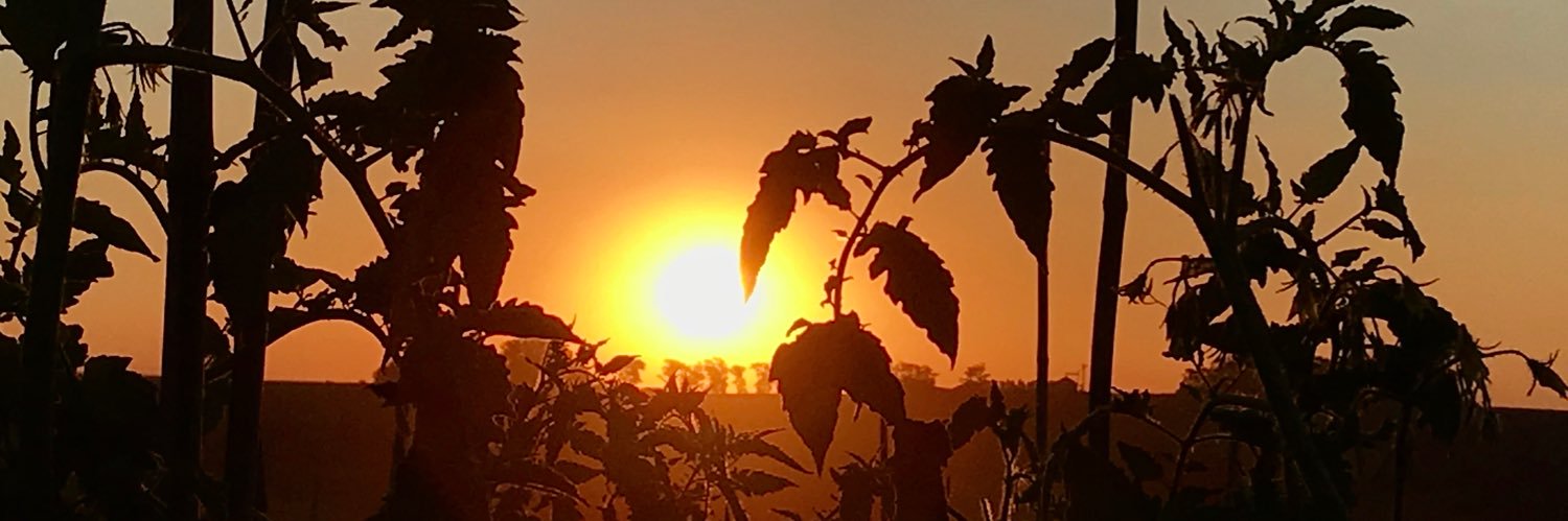mitchell_andres's profile banner image