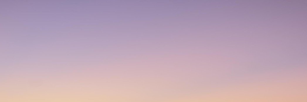 Javier banner