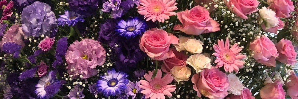 _rcha_O83's profile banner image