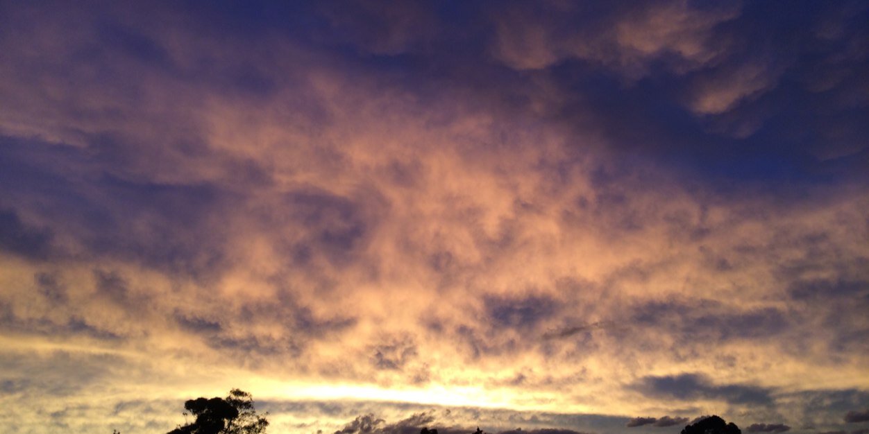 Political Psychology banner