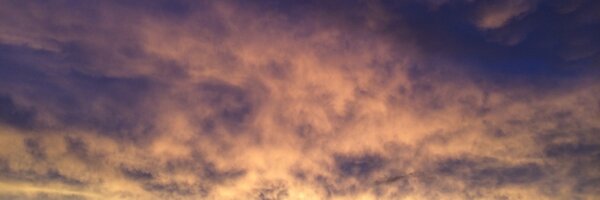 PolPsy Profile Banner