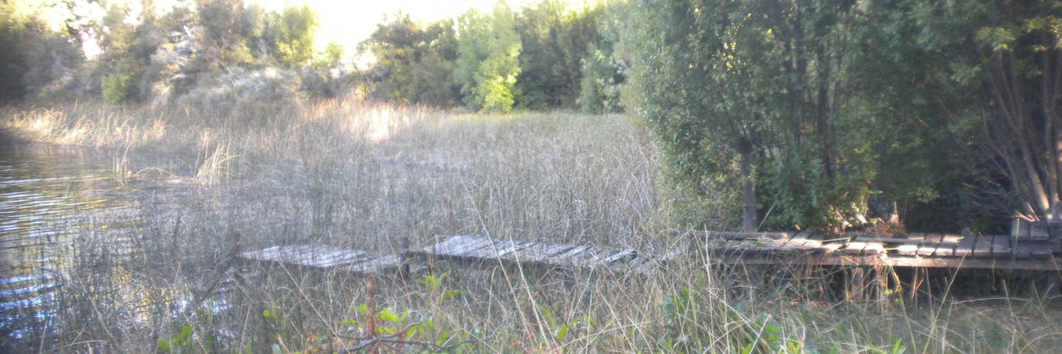 DunlopNeumatico's profile banner image