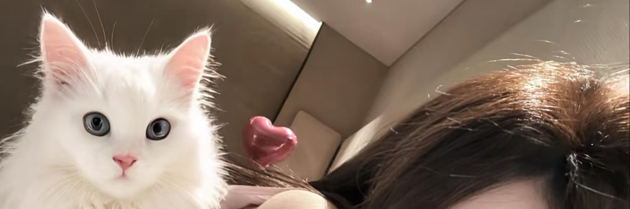 叉叉爱逃课 banner