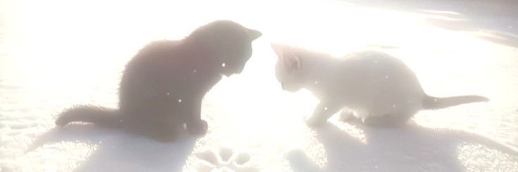 Voltyno's profile banner image