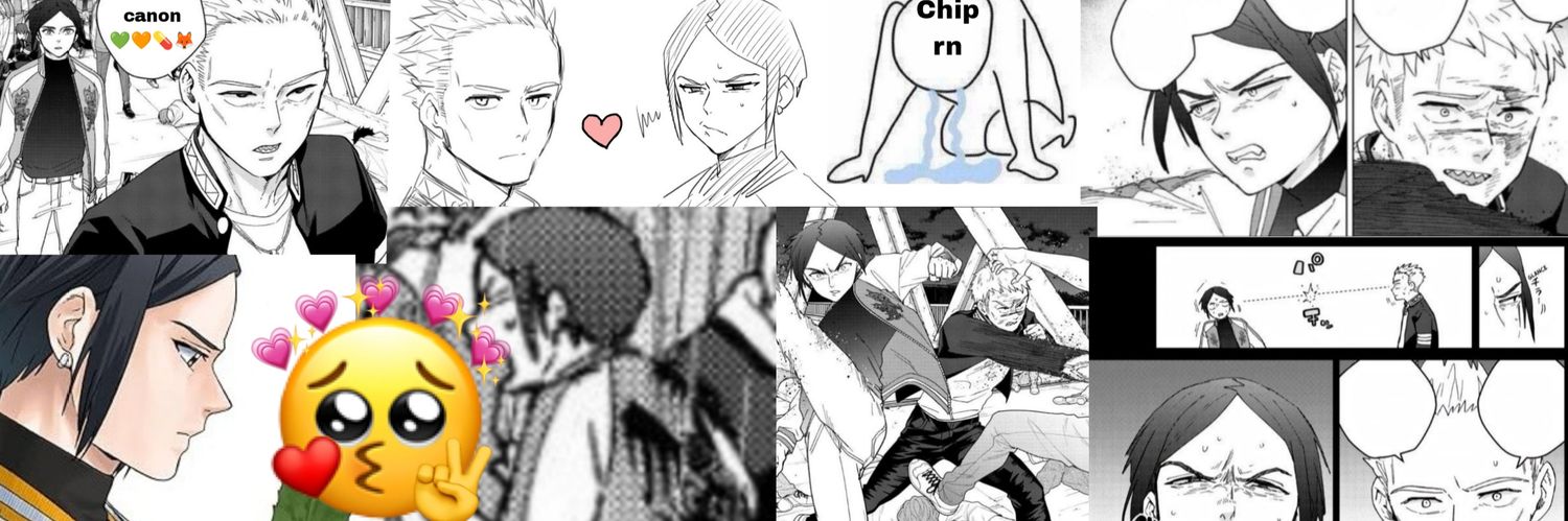 Chip (write block) 💊🦊 banner