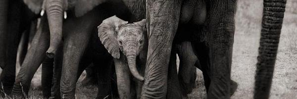 suivezmoi Profile Banner