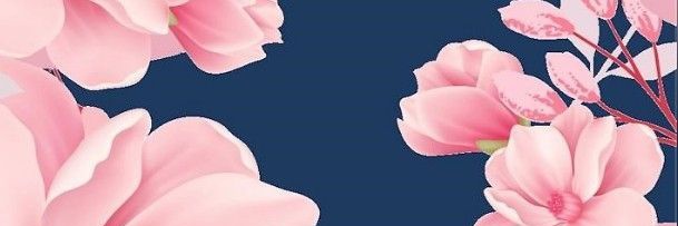 ccamicastro's profile banner image