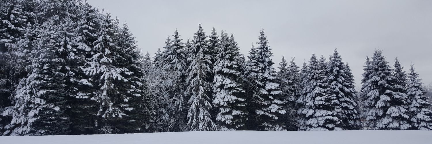schoooofly's profile banner image