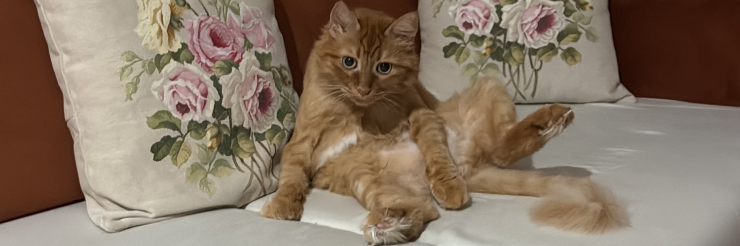 osmanguzel2000's profile banner image