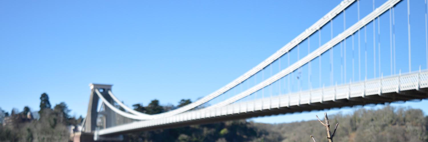 davidjones150's profile banner image