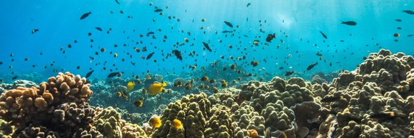 Armanini1 Profile Banner