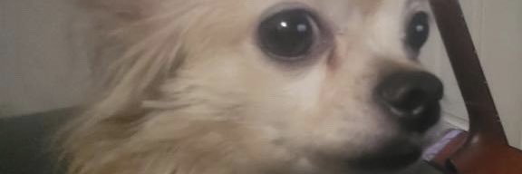 krisaaaaeeeeeeee banner